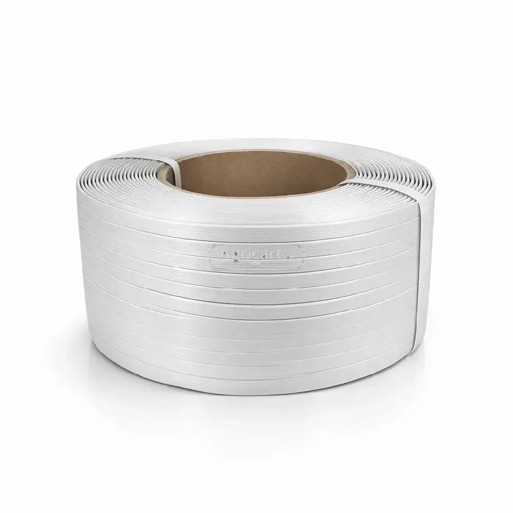 Packing Strap Plastic