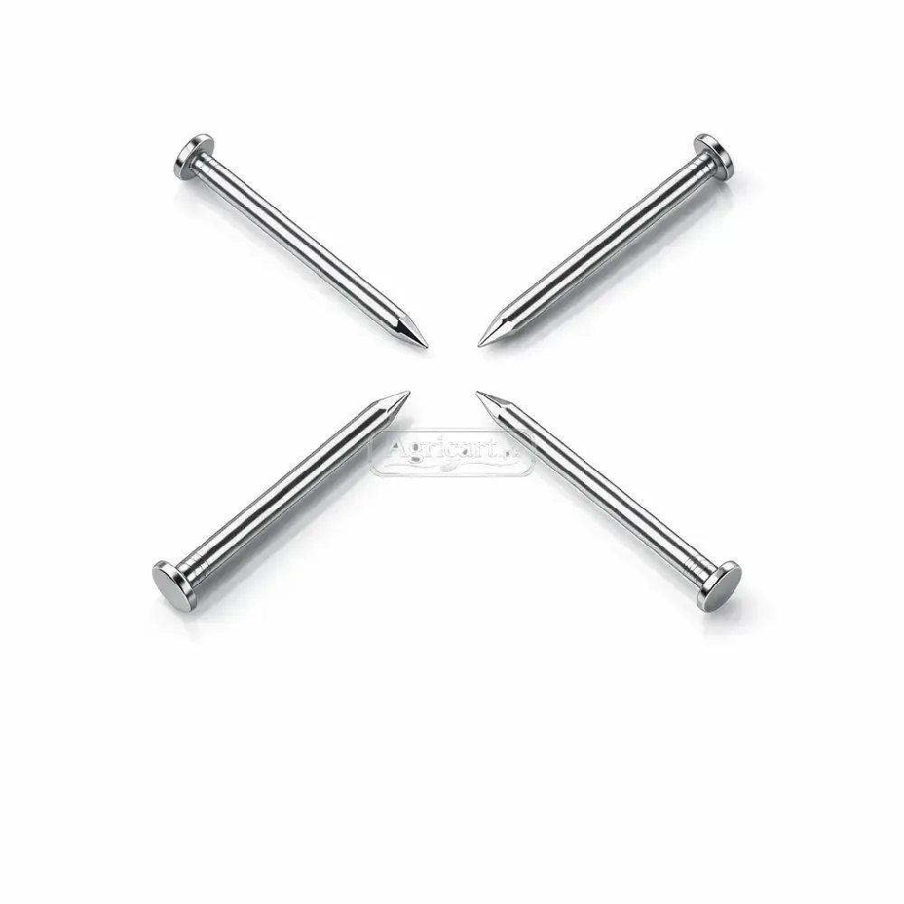 Iron Nails 1Inch 12 No