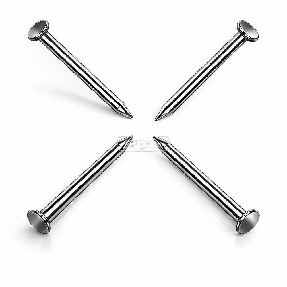 Iron Nails 3Inch 8 No