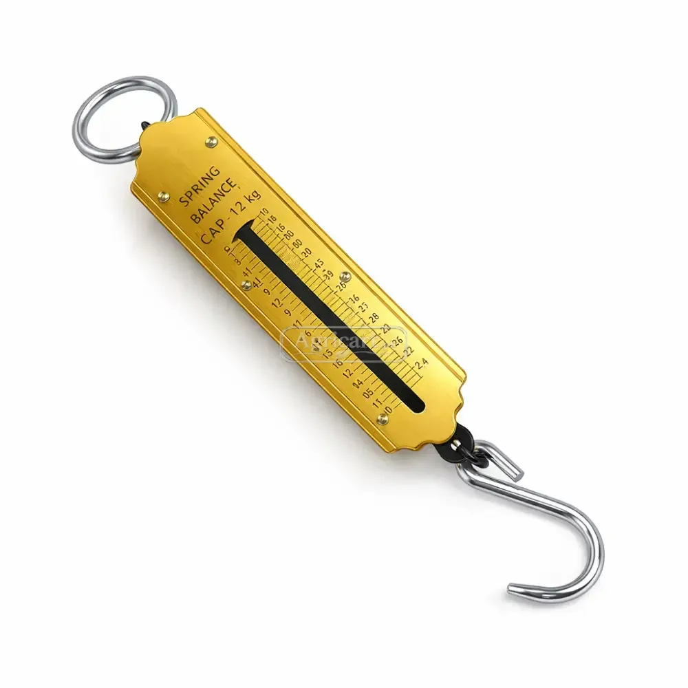 Spring Type Crane Scale