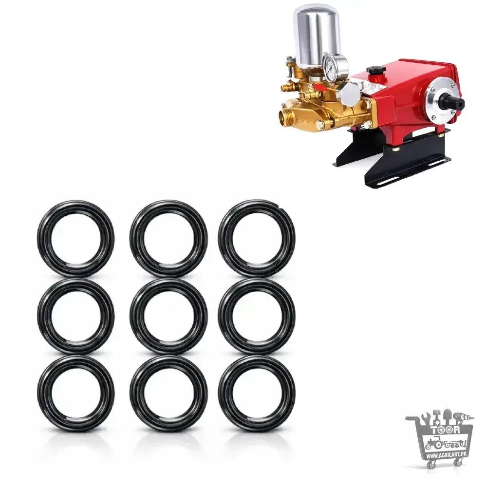 Bj 170 High Pressure Power Spray Pump Plunger Seal Set