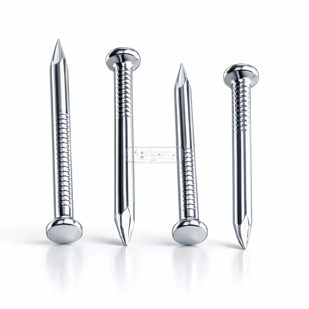 Steel Nails 2.5Inch 4Mm