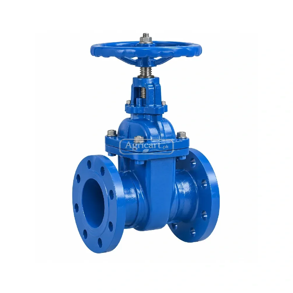 Flange Gate Valve 4 Inch