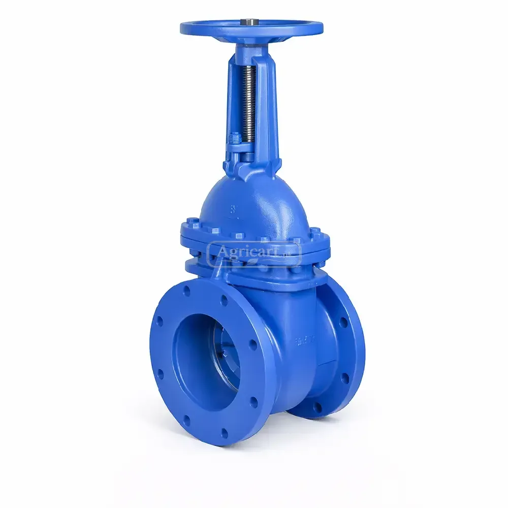 Flange Gate Valve