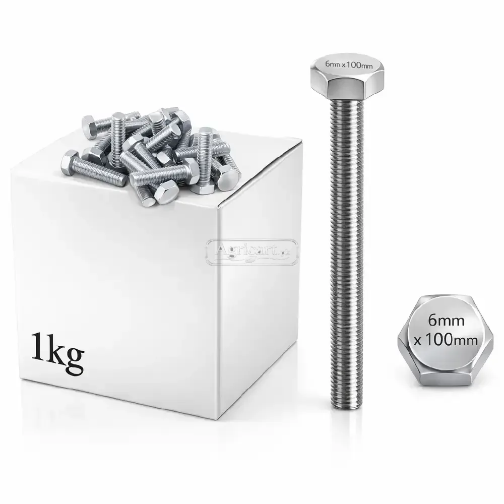 6Mm 100Mm Bolt