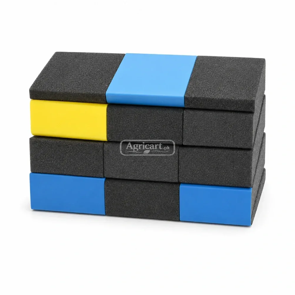 Sponge Foam Set 12 Pieces