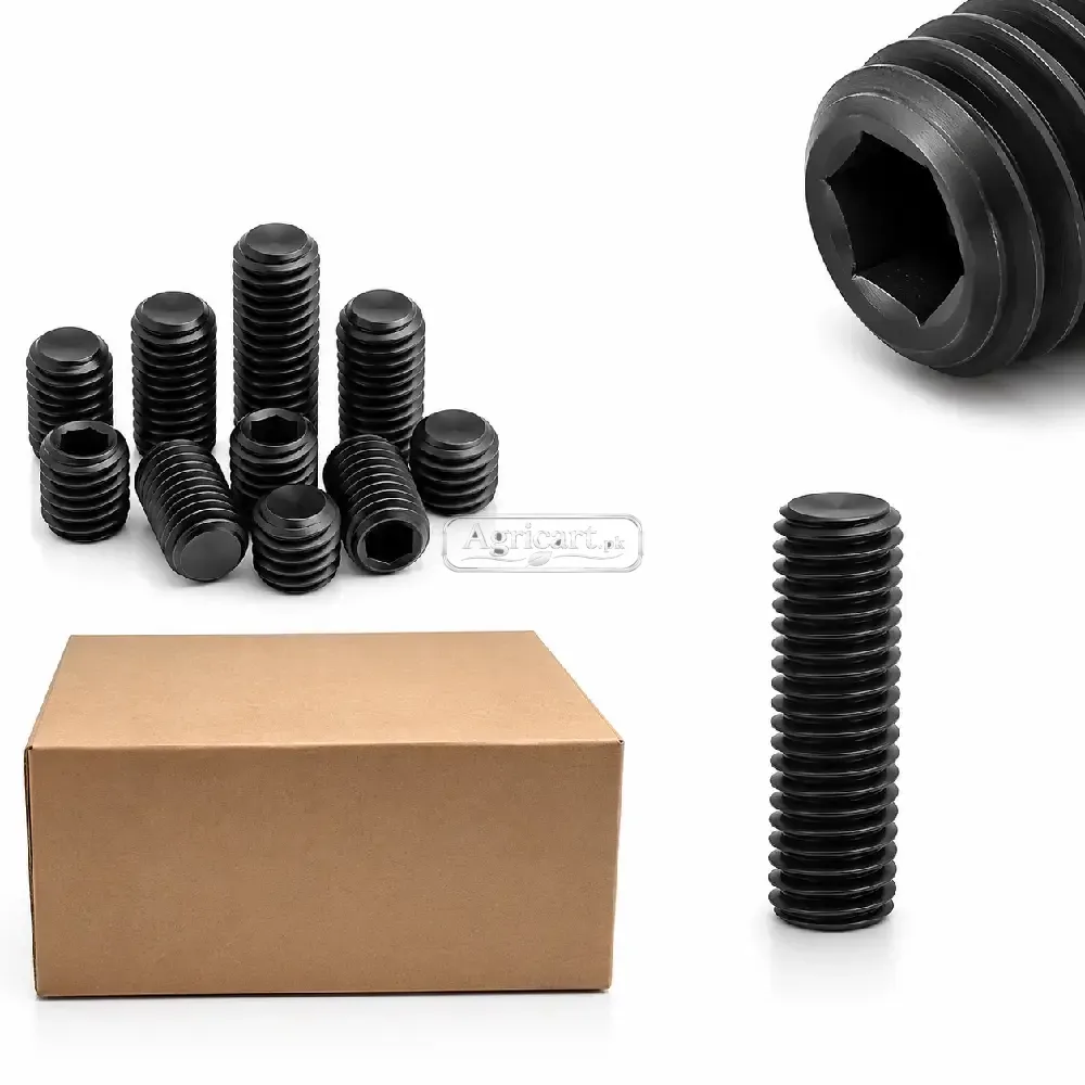 8Mm 38Mm Inner Head Allen Key Bolt