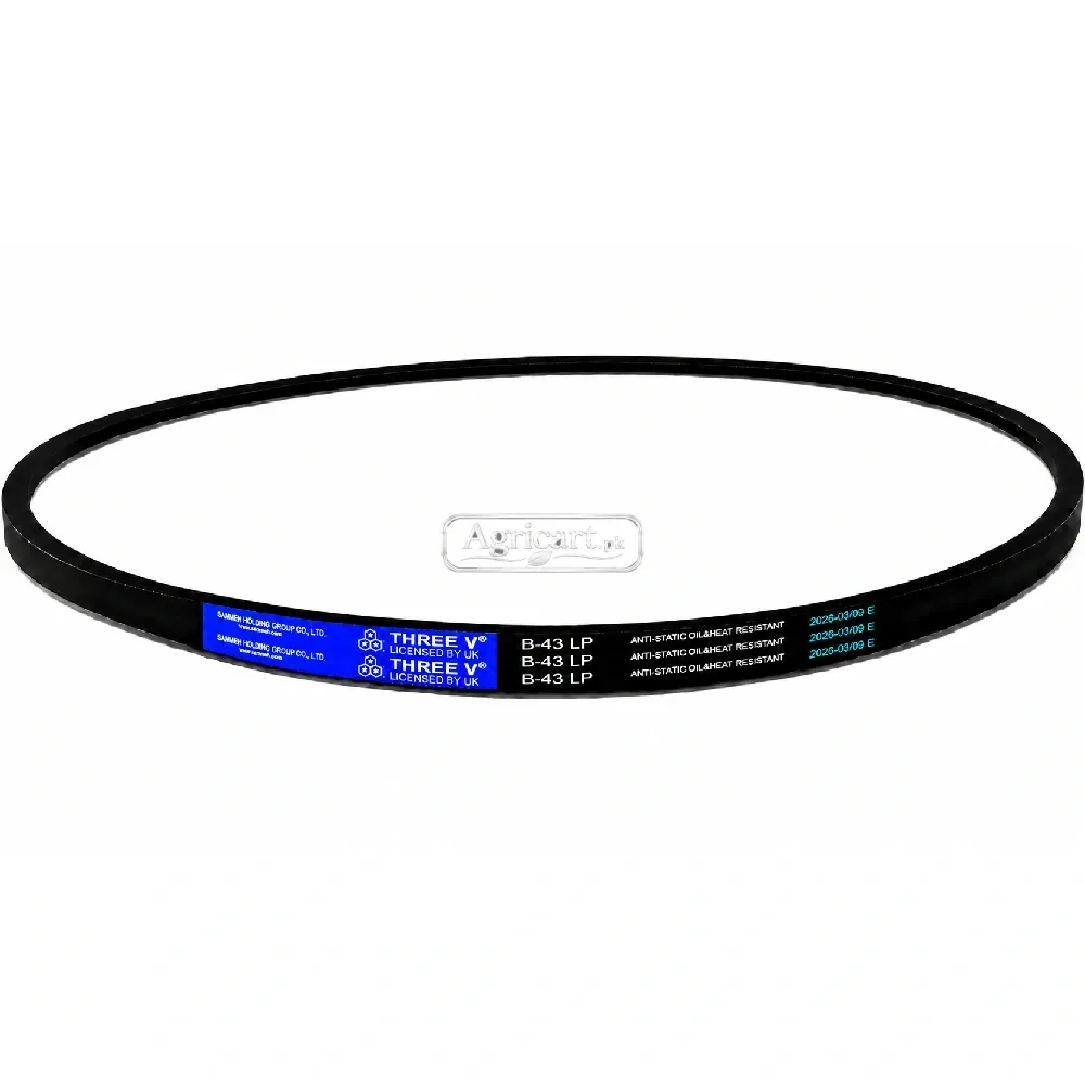 B43 V Belt