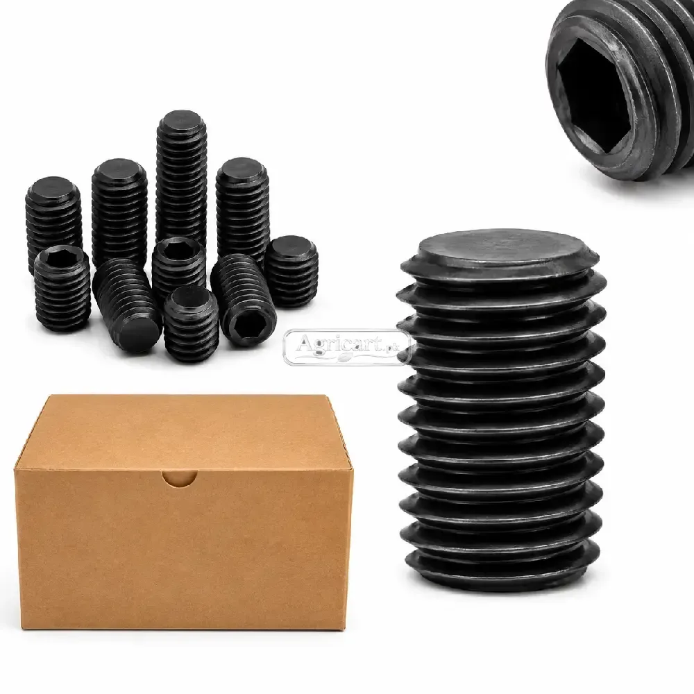 12Mm 24Mm Inner Head Allen Key Bolt