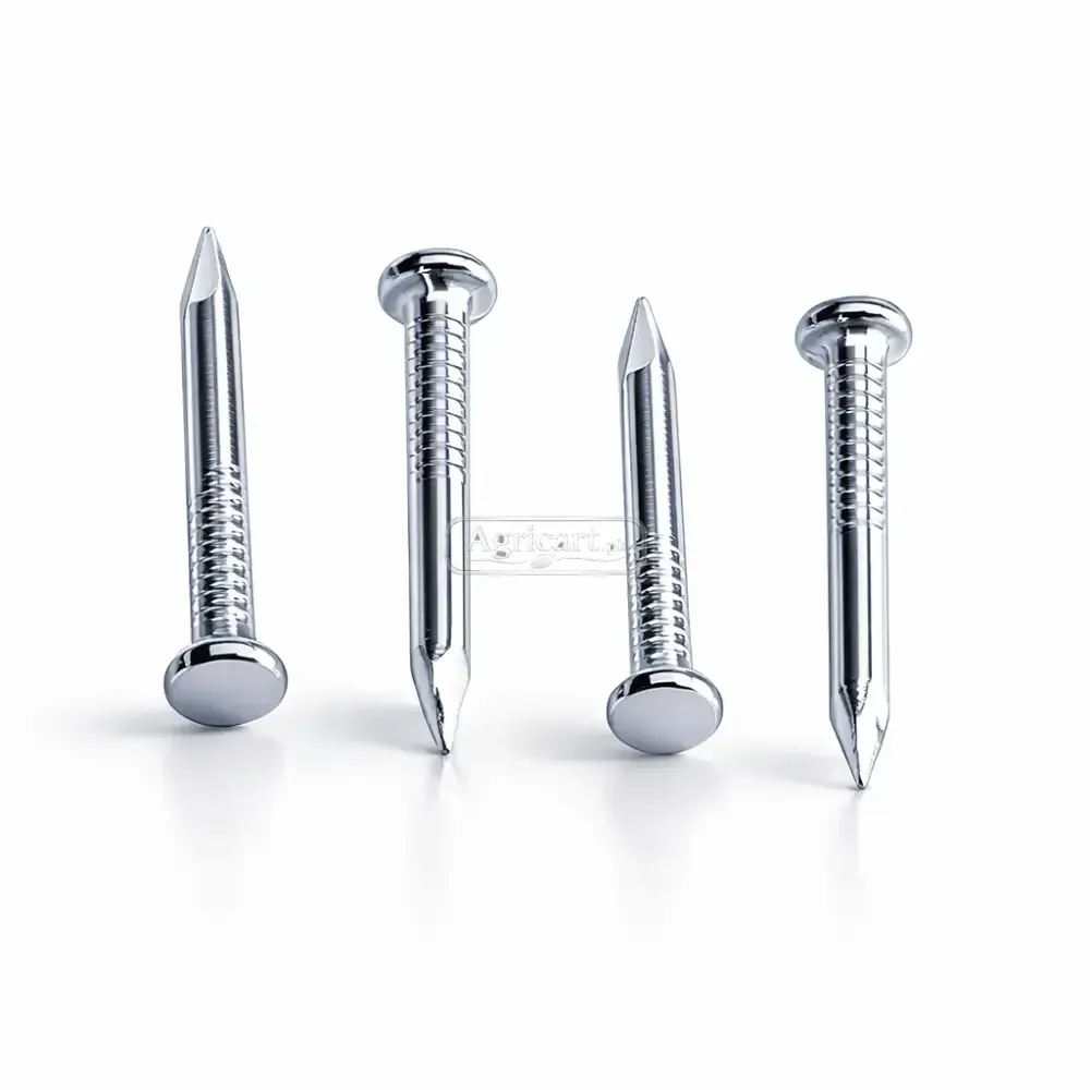 Steel Nails 2Inch 3.6Mm