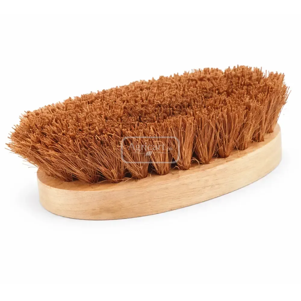 Floor Polishing Brush