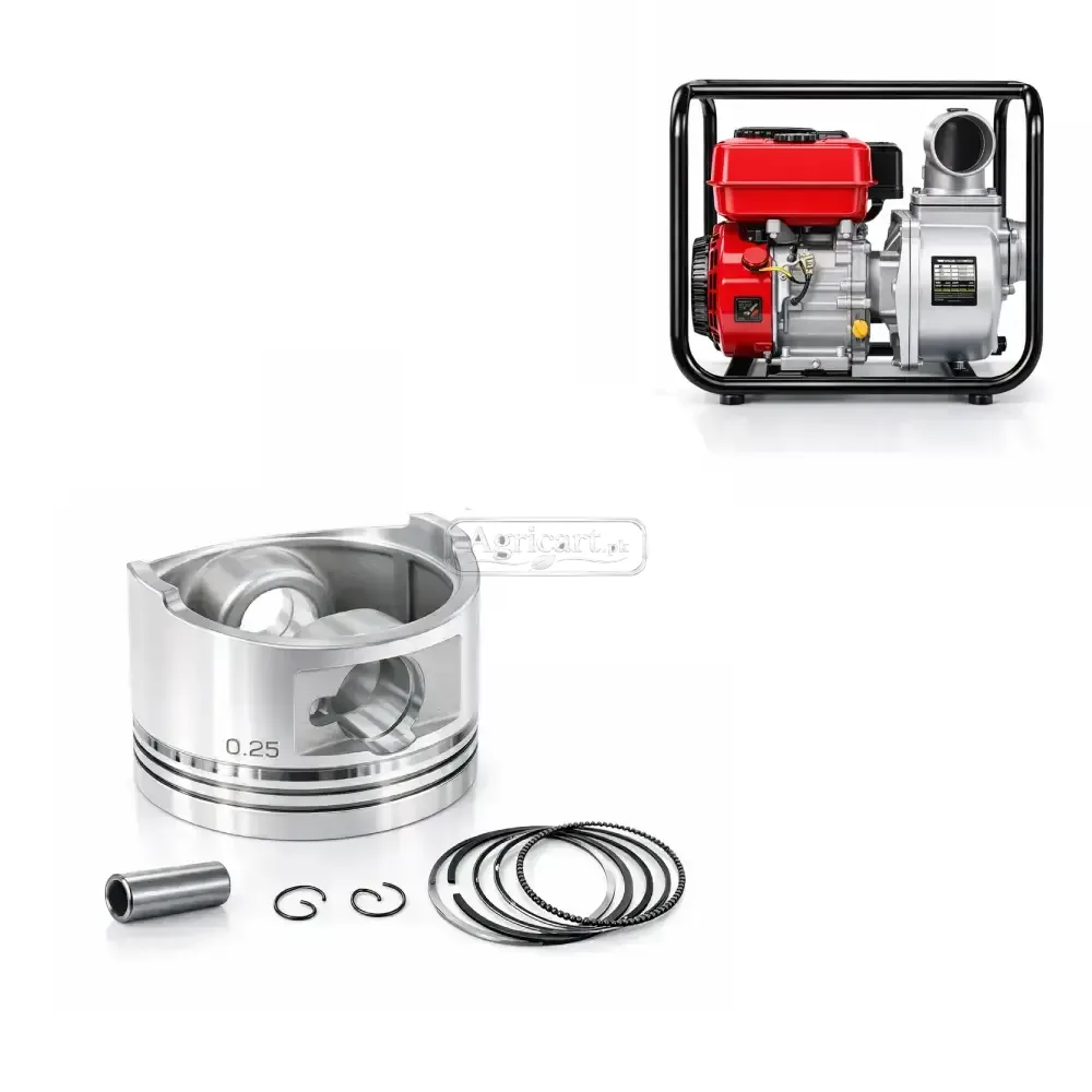 Petrol Engine Water Pump 2 Inch Piston Ring Set 0.25 Size