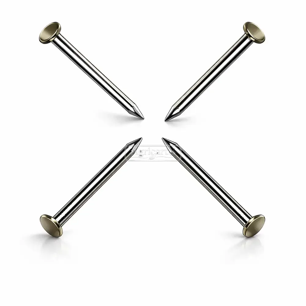 Iron Nails 2.5Inch 10 No