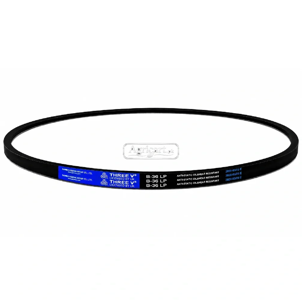 B36 V Belt