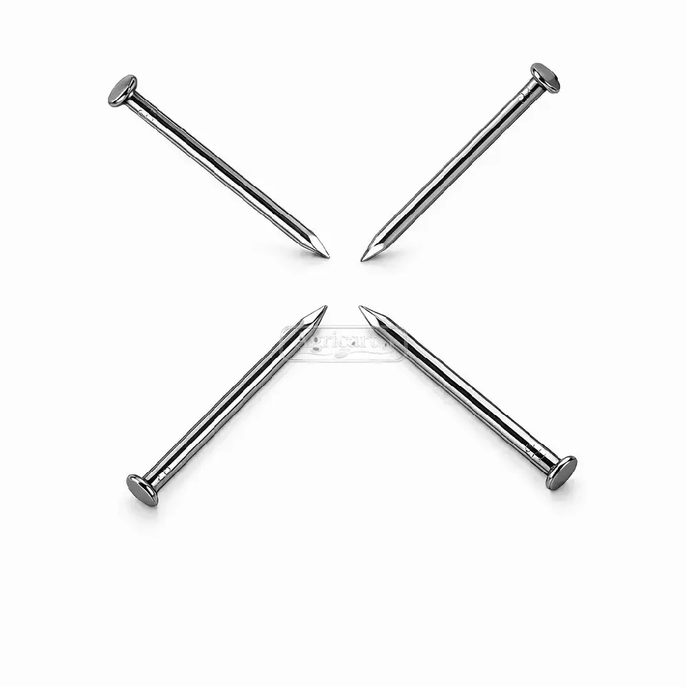 Iron Nails 2Inch 14 No