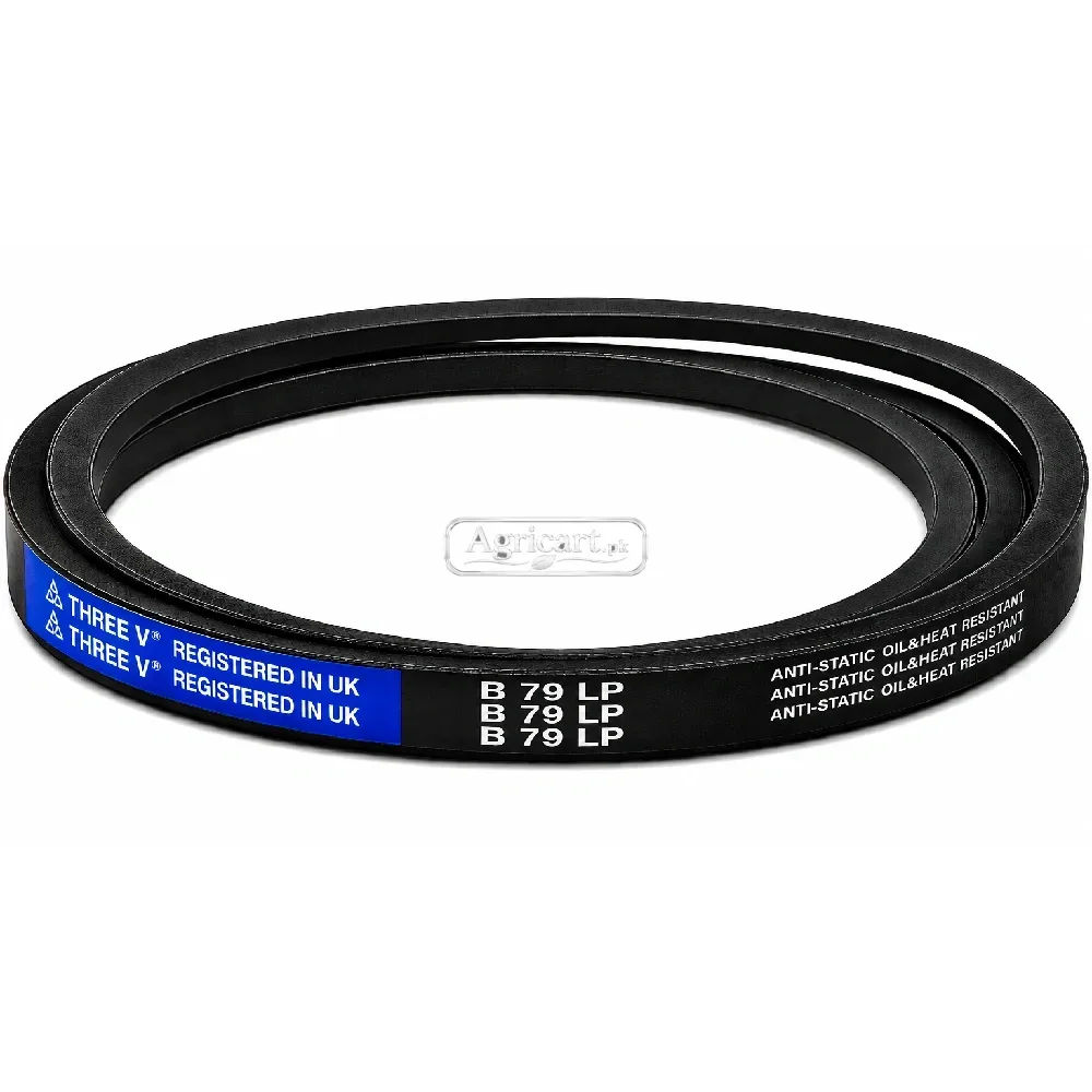 B79 V Belt