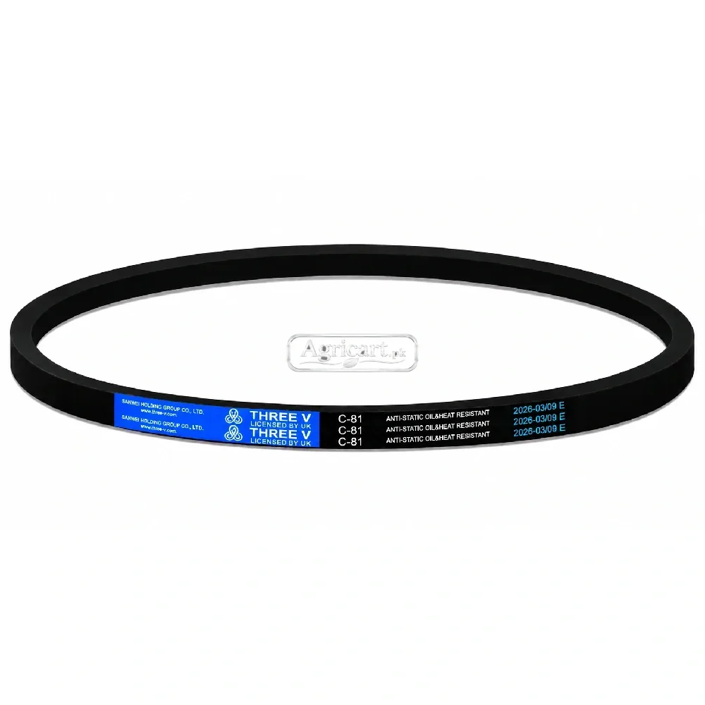 C81 V Belt