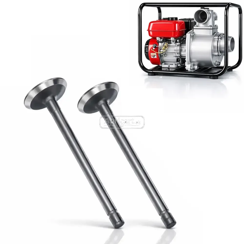 Petrol Engine Water Pump 3 Inch Piston Valve Os Size