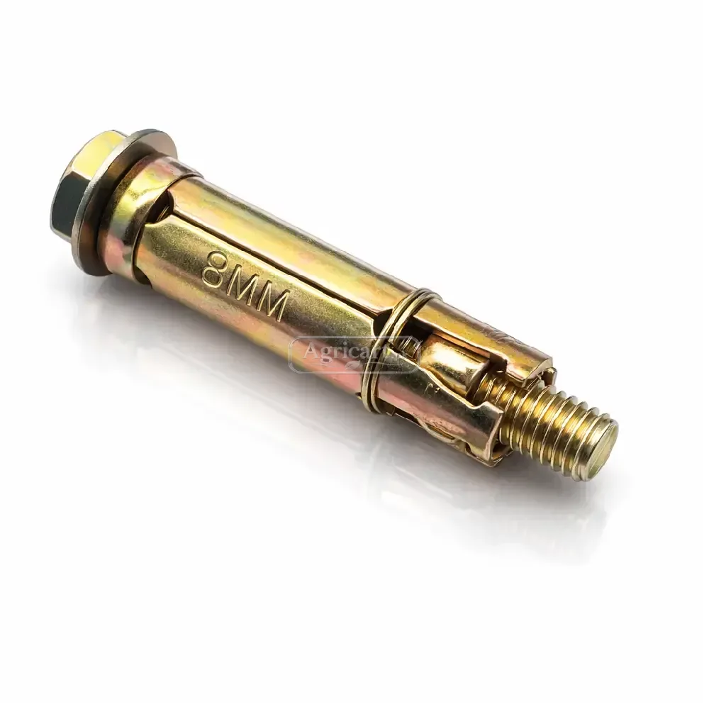Rawl Bolt 8Mm