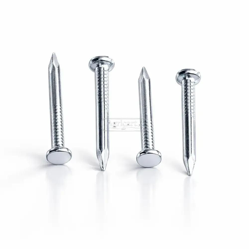 Steel Nails 3/4Inch 2Mm