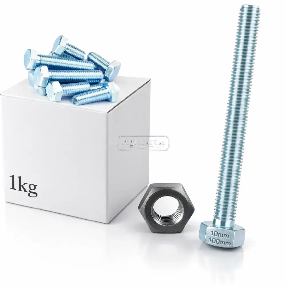10Mm 100Mm Bolt