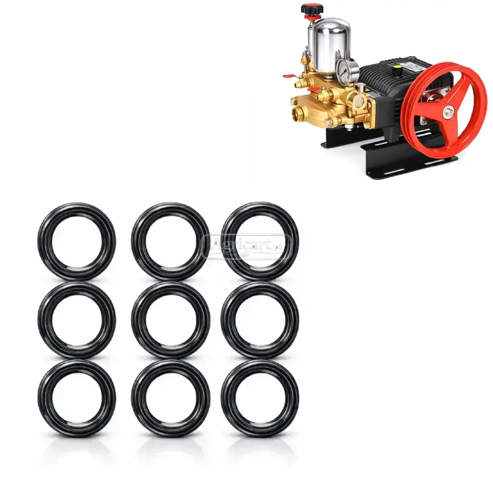 Bj 100 High Pressure Power Spray Pump Plunger Seal Set