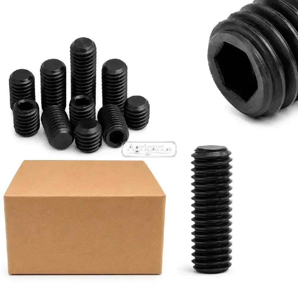 6Mm 38Mm Inner Head Allen Key Bolt