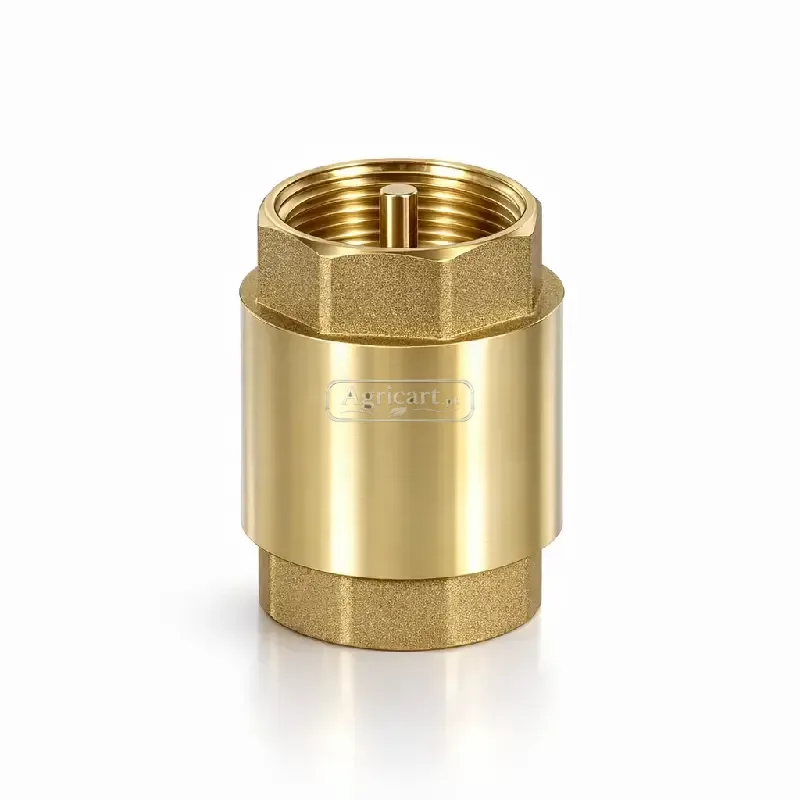 Non Return Valve