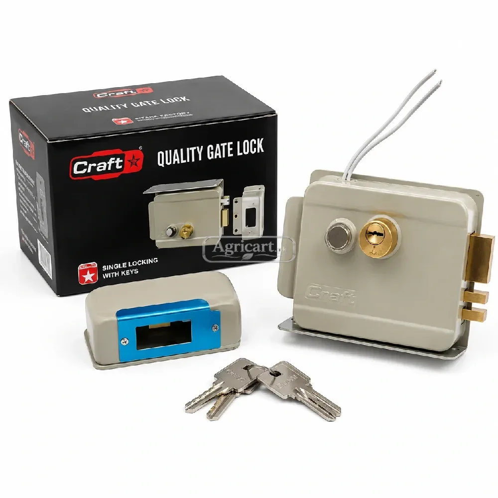 Gate Lock Automatic