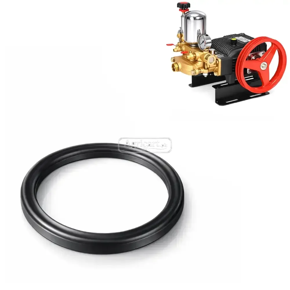 Bj 100 High Pressure Power Spray Pump Piston Packing Seal