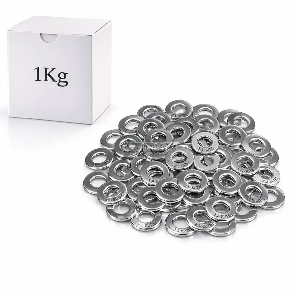 2.5 Sutar Galvanized Flat Washers