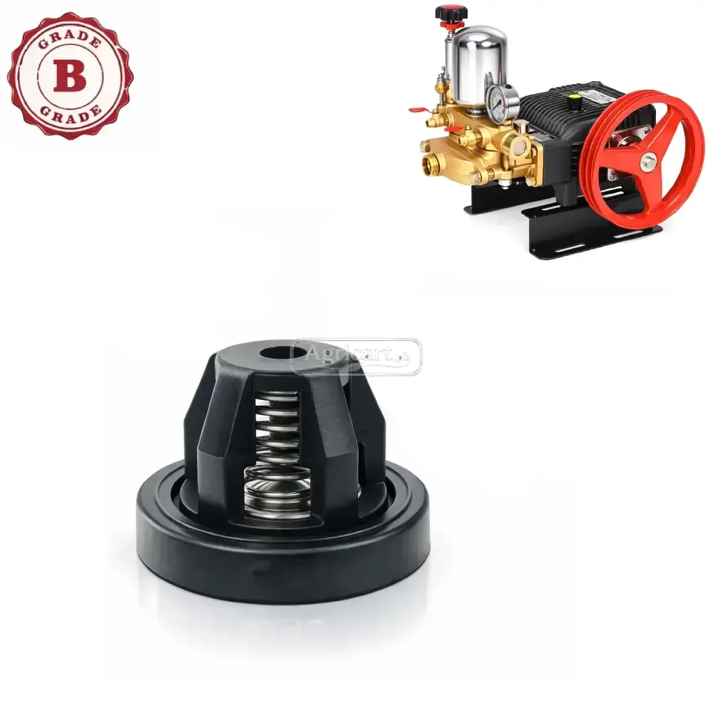 Bj 100 High Pressure Power Spray Pump Suction Valve B Grade
