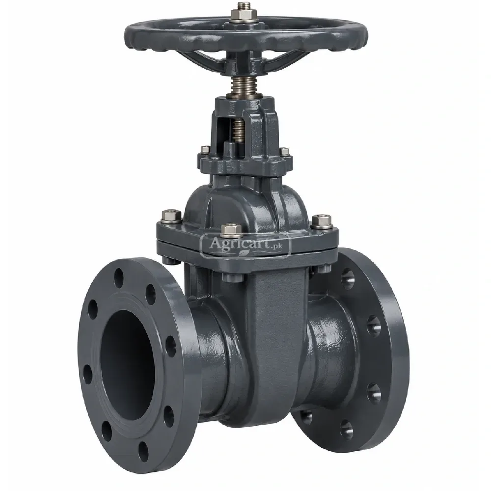 Flange Gate Valve 6 Inch