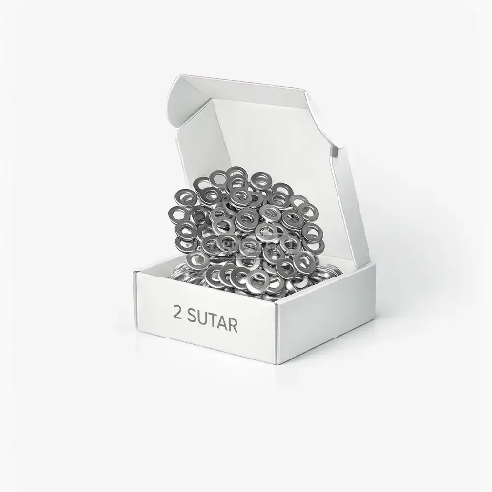 2 Sutar Galvanized Flat Washers
