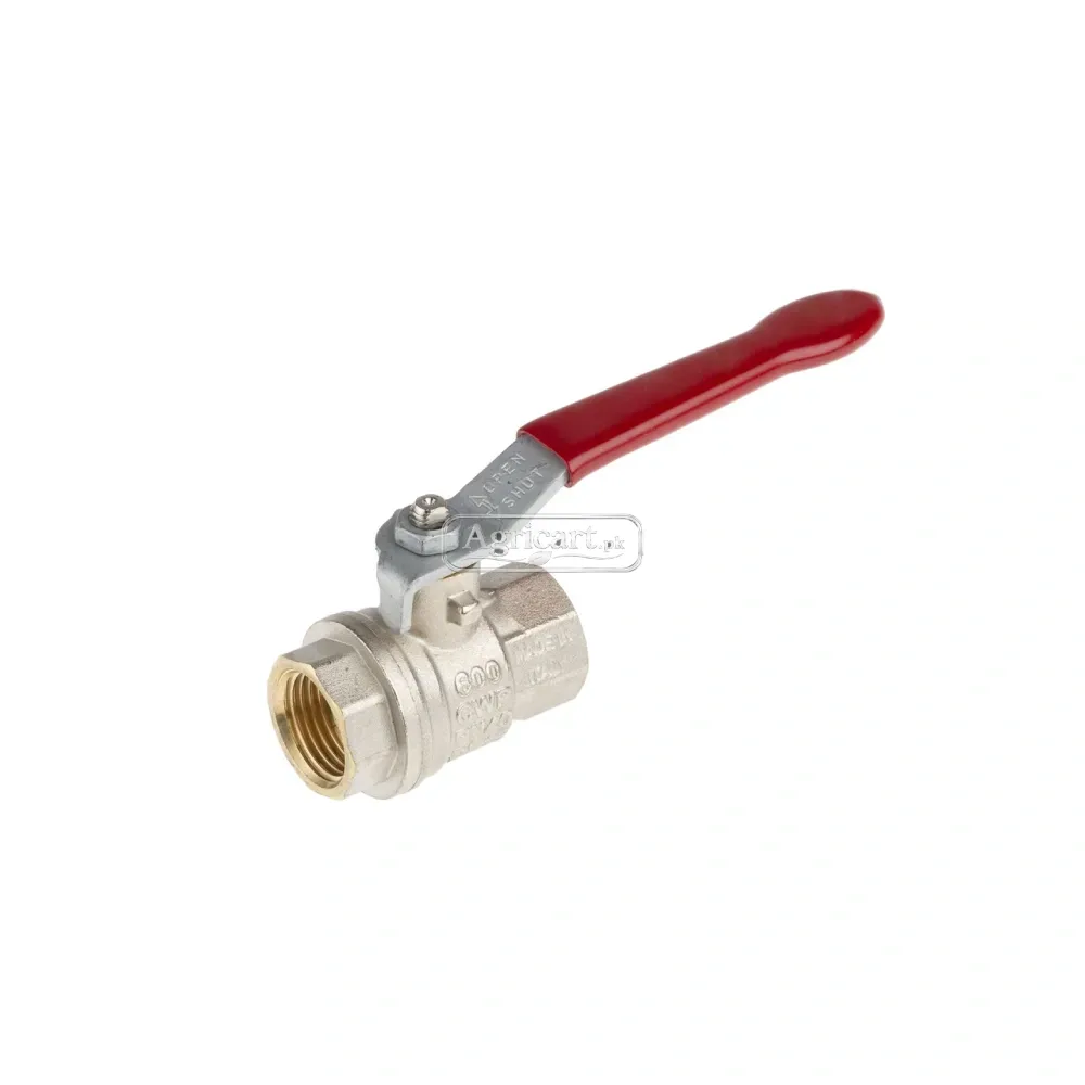 Ball Valve 1/4 Inch