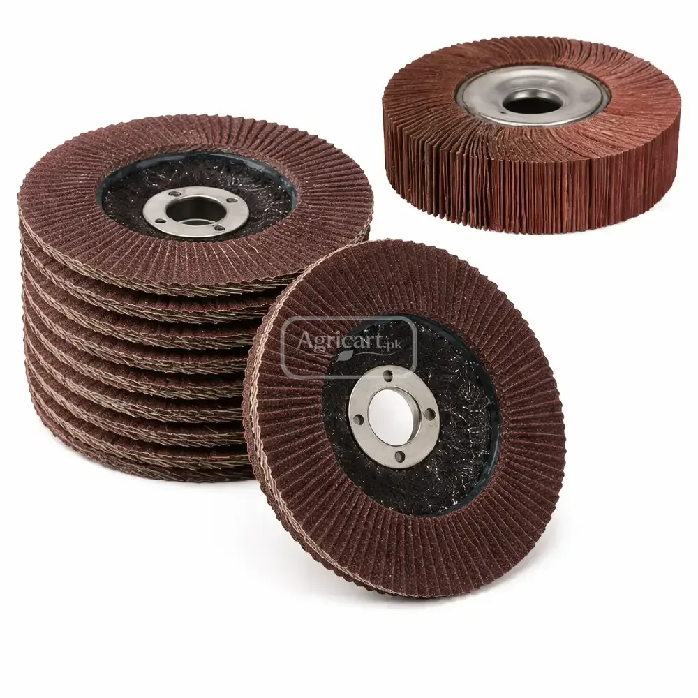 Stainless Steel Alumina Polish Disc