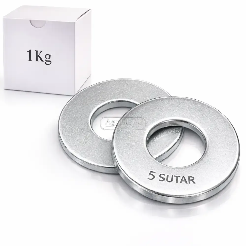 5 Sutar Galvanized Flat Washers