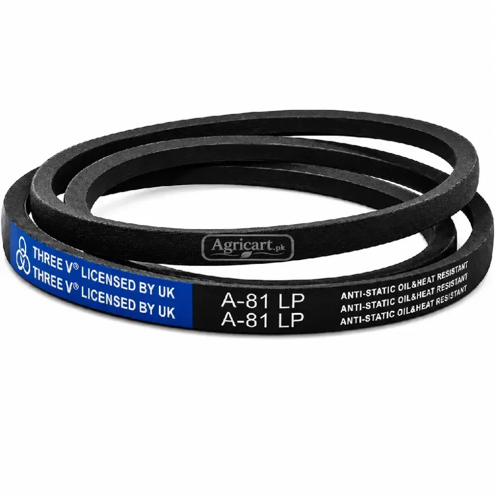 A Size V Belt A81