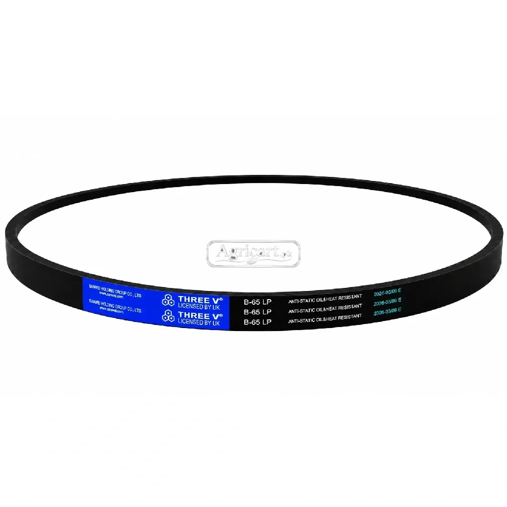 B65 V Belt