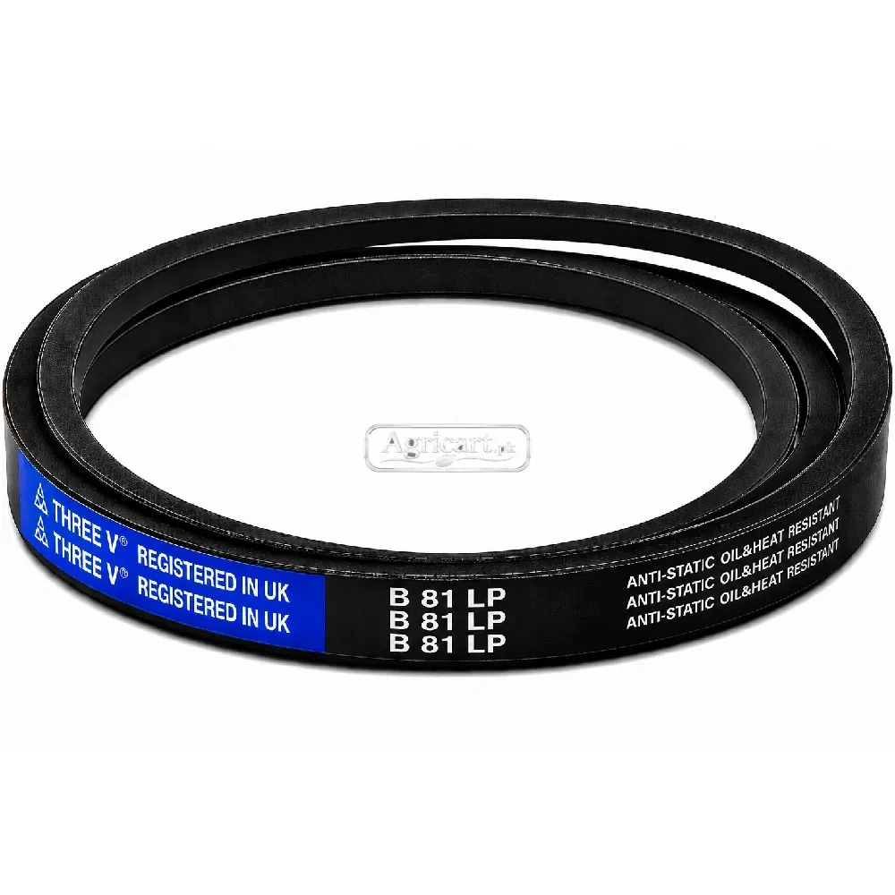 B81 V Belt