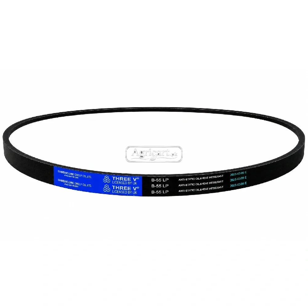 B55 V Belt