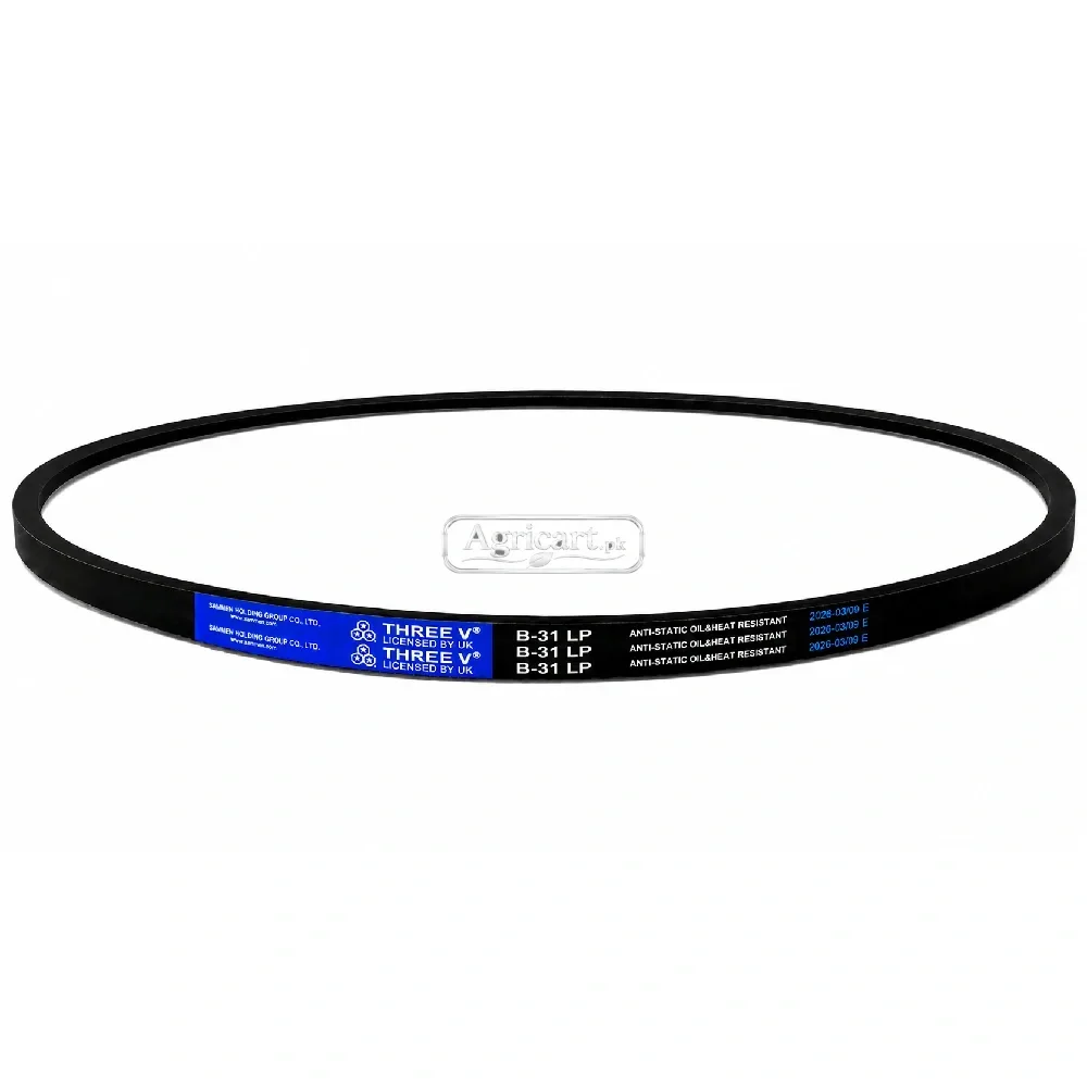 B31 V Belt