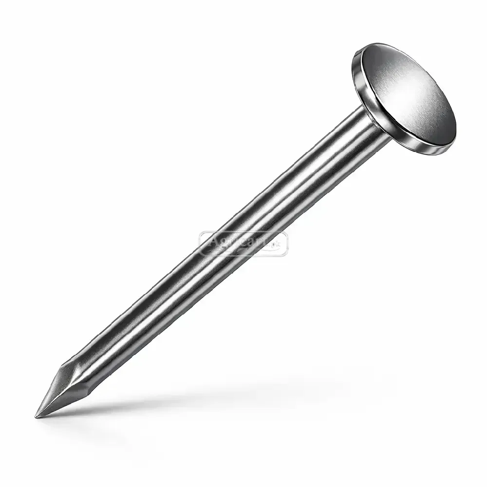 Iron Nail Chinioti 5Inch