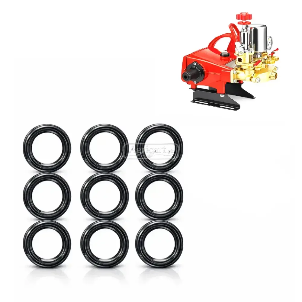 Bj 120 High Pressure Power Spray Pump Plunger Seal Set
