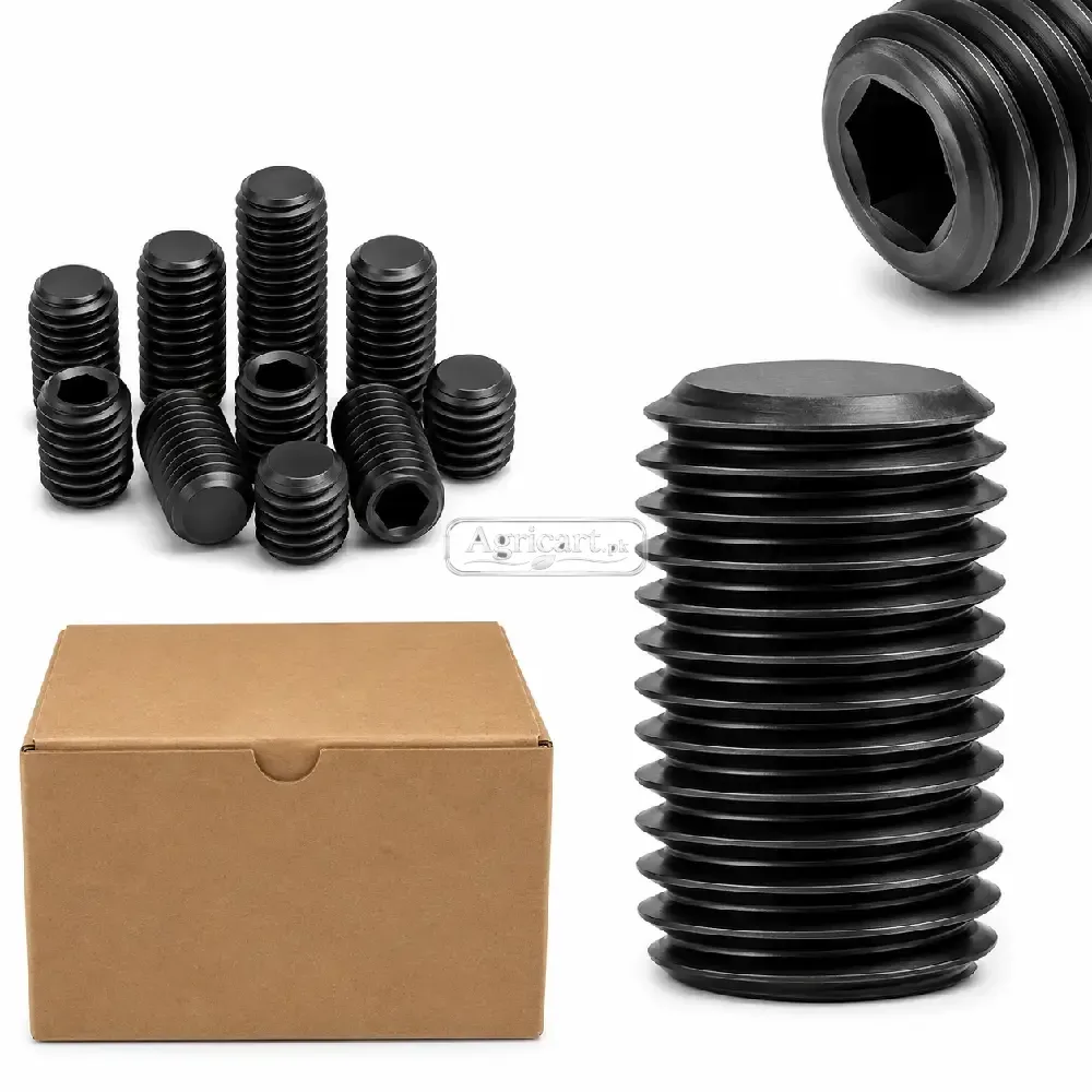 10Mm 24Mm Inner Head Allen Key Bolt