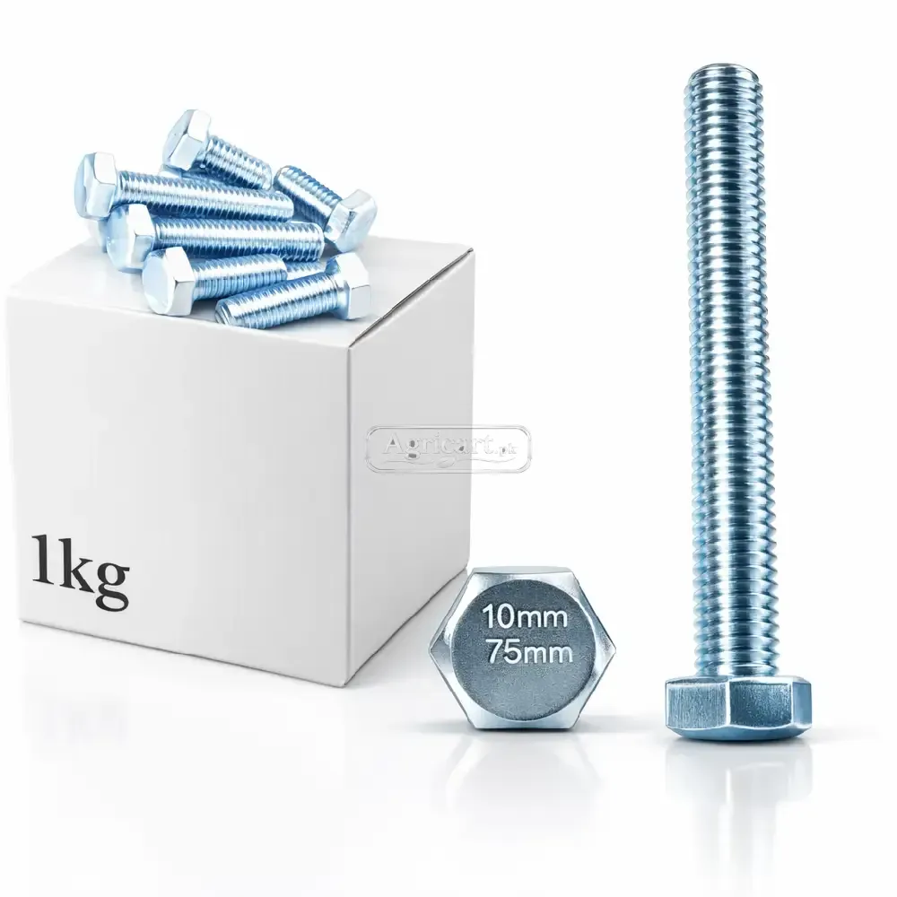 10Mm 75Mm Bolt