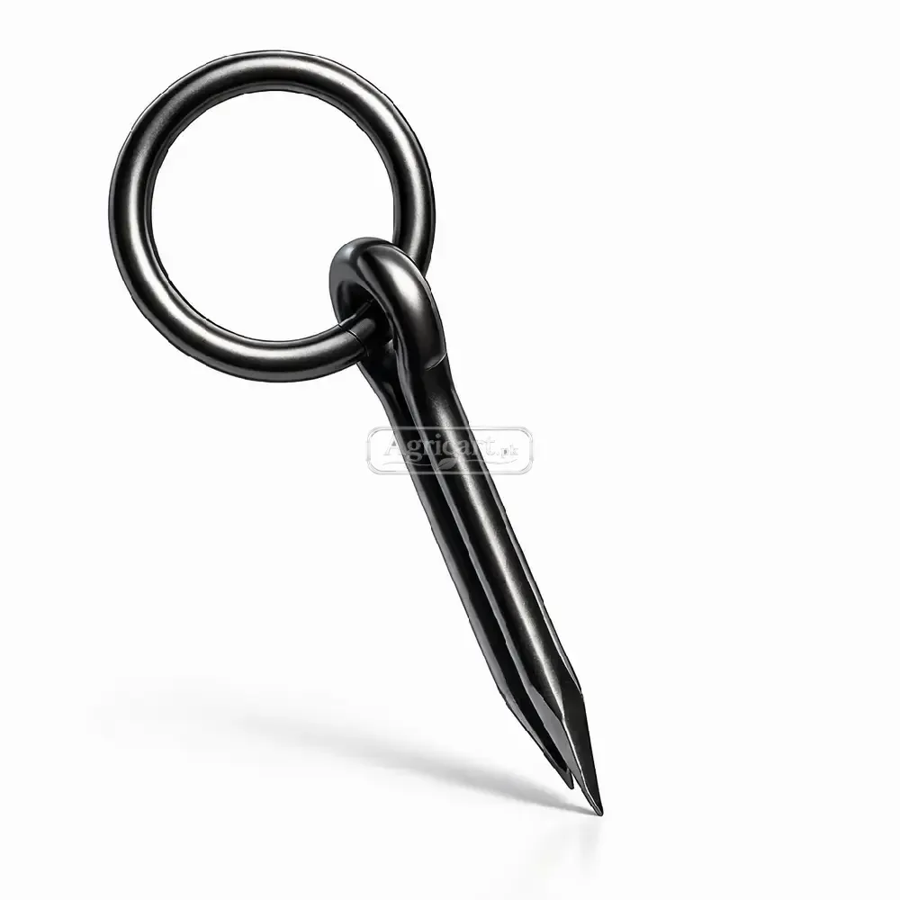 Blackened Ring With Nail Golaba Black