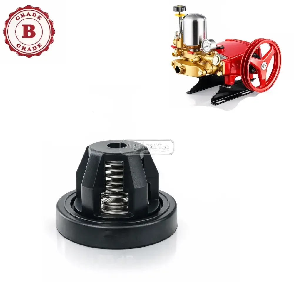 Bj 45 High Pressure Power Spray Pump Suction Valve B Grade