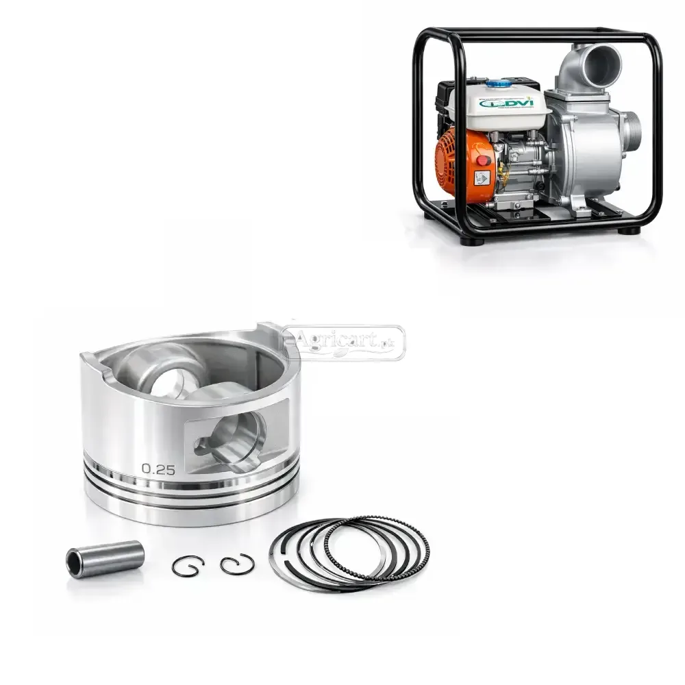 Petrol Engine Water Pump 4 Inch Piston Ring Set 0.25 Size