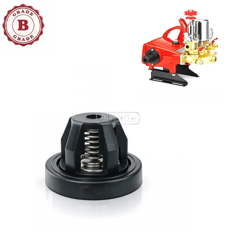 Bj 120 High Pressure Power Spray Pump Suction Valve B Grade